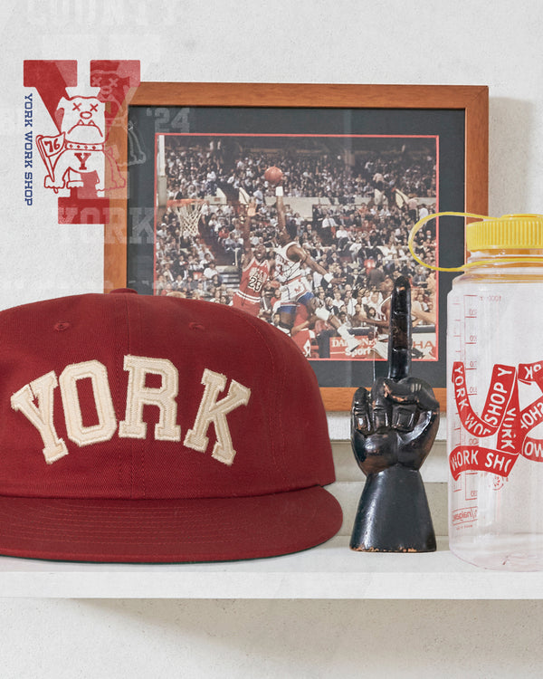 York University 6 Panel