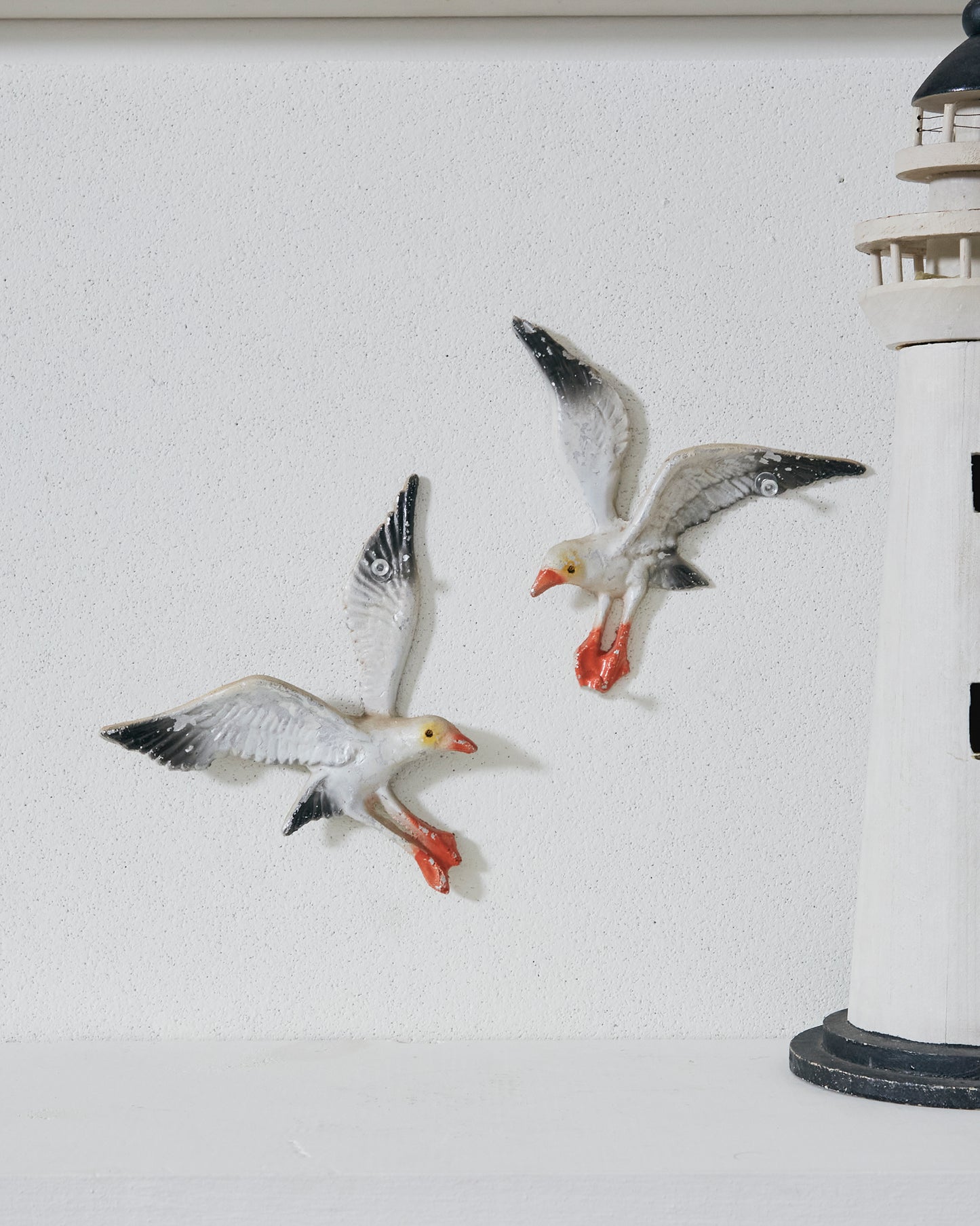 Seagull Wall Art