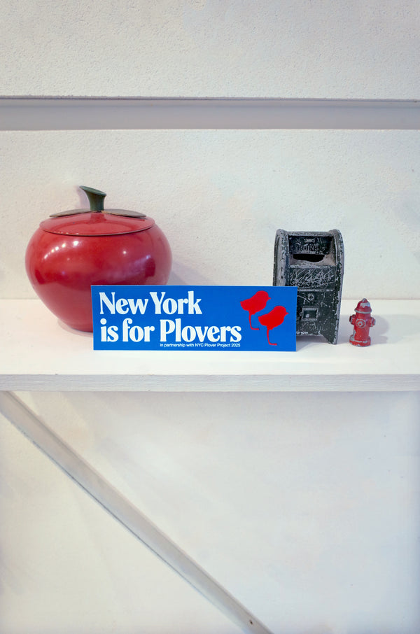 NY is for Plovers Bumper Sticker